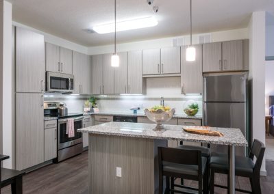 TFL Concrete Cabinets Finished Island and Kitchen Marbled Counter Tops